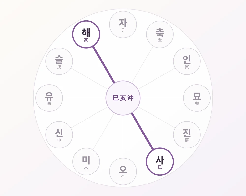 12지지 원형에서 남남동의 사와 북북서의 해가 마주하는 사해충 강조 관계도